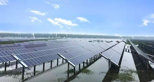 江西省鄱陽縣游城鄉80MWp漁光互補